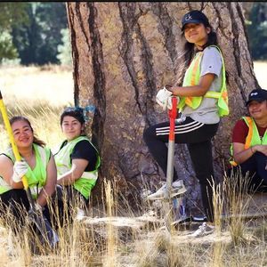 Meet your Posher, Crystal